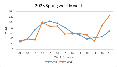 Yield per week